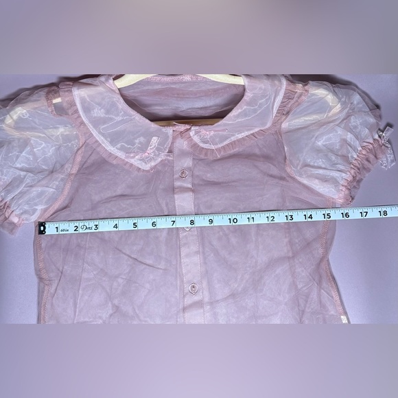 Pink Ruffled Mesh Top - Picture 6 of 6